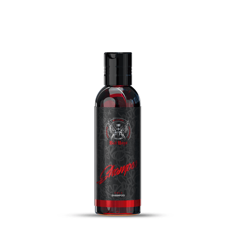 Bad Boys Shampoo Set - Malá sada na mytí auta - náhled 4